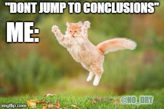 Don't jump to conclusions | "DONT JUMP TO CONCLUSIONS"; ME:; @NO_DRY | image tagged in jumping cat,memes,instagram,cats,lmao,funny | made w/ Imgflip meme maker