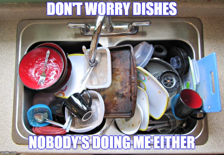 Dating life | DON'T WORRY DISHES; NOBODY'S DOING ME EITHER | image tagged in funny,funny memes,dating,relationships | made w/ Imgflip meme maker