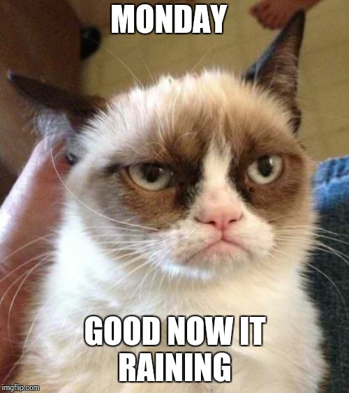 Grumpy Cat Reverse | MONDAY; GOOD NOW IT  RAINING | image tagged in memes,grumpy cat reverse,grumpy cat | made w/ Imgflip meme maker