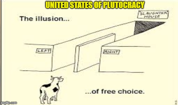A Delusion of Democracy | UNITED STATES OF PLUTOCRACY | image tagged in gop,dems | made w/ Imgflip meme maker