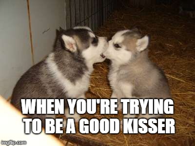 Cute Puppies | WHEN YOU'RE TRYING TO BE A GOOD KISSER | image tagged in memes,cute puppies | made w/ Imgflip meme maker