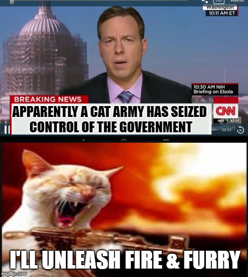 The Fur is Flying | APPARENTLY A CAT ARMY HAS SEIZED CONTROL OF THE GOVERNMENT; I'LL UNLEASH FIRE & FURRY | image tagged in funny memes,cnn breaking news template,cats,cats with guns | made w/ Imgflip meme maker