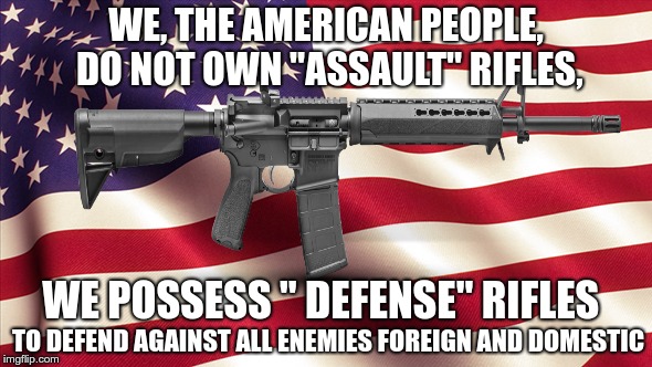 The 2nd Amendment  | WE, THE AMERICAN PEOPLE, DO NOT OWN "ASSAULT" RIFLES, WE POSSESS " DEFENSE" RIFLES; TO DEFEND AGAINST ALL ENEMIES FOREIGN AND DOMESTIC | image tagged in 2nd amendment,ar-15,america,maga,shooting | made w/ Imgflip meme maker