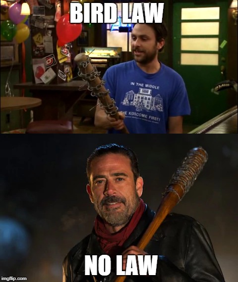 BIRD LAW; NO LAW | image tagged in its always sunny,negan,charlie day | made w/ Imgflip meme maker