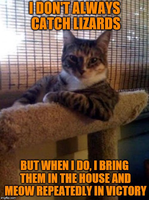 The Most Interesting Cat In The World | I DON'T ALWAYS CATCH LIZARDS; BUT WHEN I DO, I BRING THEM IN THE HOUSE AND MEOW REPEATEDLY IN VICTORY | image tagged in memes,the most interesting cat in the world,lizard,meow | made w/ Imgflip meme maker