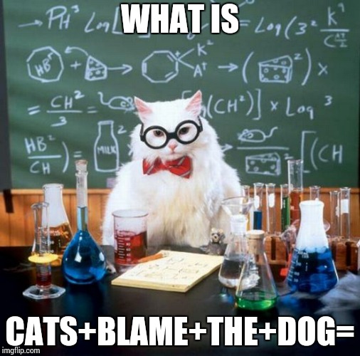 Chemistry Cat | WHAT IS; CATS+BLAME+THE+DOG= | image tagged in memes,chemistry cat | made w/ Imgflip meme maker