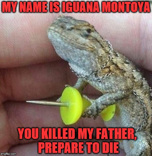 I do not mean to pry, but you don't by any chance happen to have six fingers on your right hand?  | MY NAME IS IGUANA MONTOYA; YOU KILLED MY FATHER, PREPARE TO DIE | image tagged in memes,proncess bride,inigo montoya,prepare to die,iguana | made w/ Imgflip meme maker