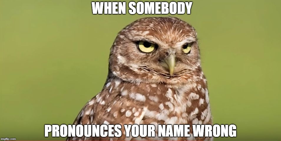 Death Stare Owl | WHEN SOMEBODY; PRONOUNCES YOUR NAME WRONG | image tagged in death stare owl,memes,funny,doctordoomsday180,pronunciation,name | made w/ Imgflip meme maker