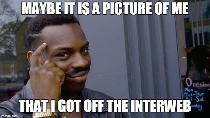 Roll Safe Think About It Meme | MAYBE IT IS A PICTURE OF ME THAT I GOT OFF THE INTERWEB | image tagged in memes,roll safe think about it | made w/ Imgflip meme maker