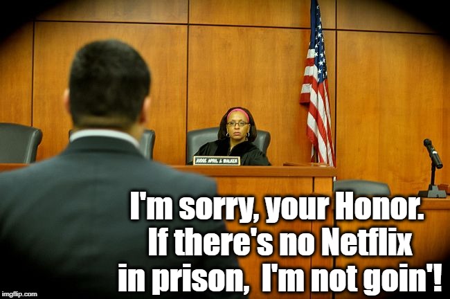 I'm sorry, your Honor. If there's no Netflix in prison,  I'm not goin'! | made w/ Imgflip meme maker