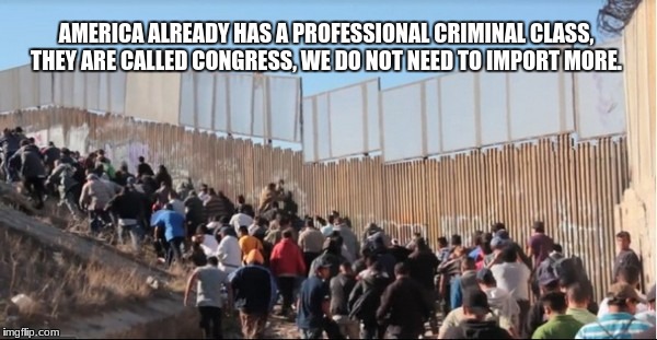 Illegal Immigrants | AMERICA ALREADY HAS A PROFESSIONAL CRIMINAL CLASS, THEY ARE CALLED CONGRESS, WE DO NOT NEED TO IMPORT MORE. | image tagged in illegal immigrants | made w/ Imgflip meme maker