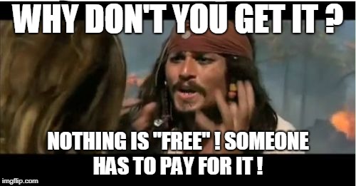 Why Is The Rum Gone | WHY DON'T YOU GET IT ? NOTHING IS "FREE" ! SOMEONE HAS TO PAY FOR IT ! | image tagged in memes,why is the rum gone | made w/ Imgflip meme maker