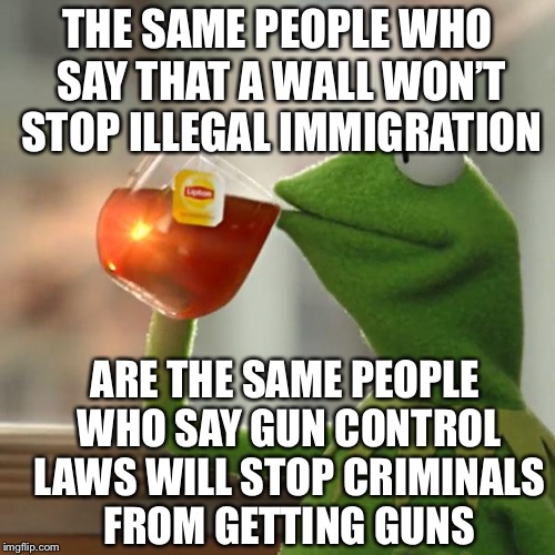 But That's None Of My Business | THE SAME PEOPLE WHO SAY THAT A WALL WON’T STOP ILLEGAL IMMIGRATION; ARE THE SAME PEOPLE WHO SAY GUN CONTROL LAWS WILL STOP CRIMINALS FROM GETTING GUNS | image tagged in memes,but thats none of my business,kermit the frog,gun control,illegal immigration,liberal logic | made w/ Imgflip meme maker
