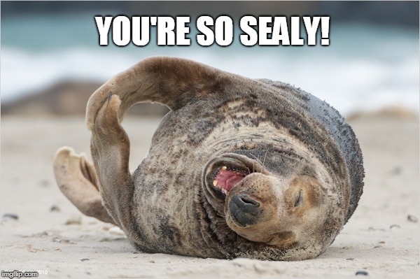 laughing | YOU'RE SO SEALY! | image tagged in laughing | made w/ Imgflip meme maker