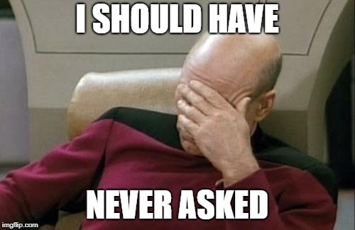 I SHOULD HAVE NEVER ASKED | image tagged in memes,captain picard facepalm | made w/ Imgflip meme maker