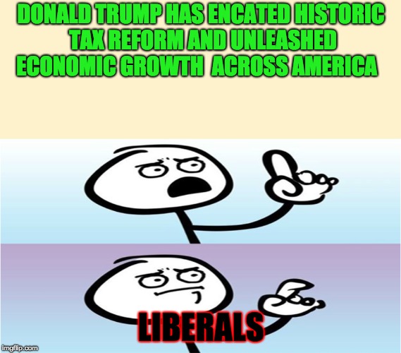 If in doubt, use facts | DONALD TRUMP HAS ENCATED HISTORIC TAX REFORM AND UNLEASHED ECONOMIC GROWTH 
ACROSS AMERICA; LIBERALS | image tagged in finger raising guy,cant argue with that,stupid liberals,speechless pointing guy,memes,funny | made w/ Imgflip meme maker