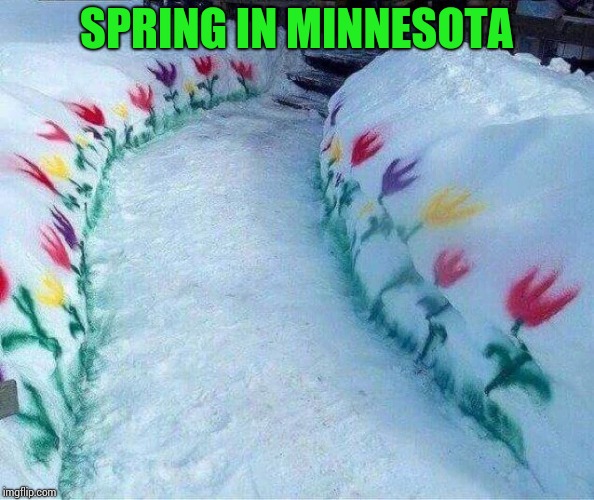 Inspired by Minnesota friends | SPRING IN MINNESOTA | image tagged in spring,snow,minnesota,pipe_picasso | made w/ Imgflip meme maker