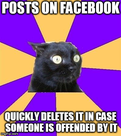 anxiety cat | POSTS ON FACEBOOK; QUICKLY DELETES IT IN CASE SOMEONE IS OFFENDED BY IT | image tagged in anxiety cat | made w/ Imgflip meme maker