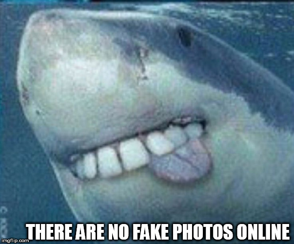 its not fake  Photoshop promises | THERE ARE NO FAKE PHOTOS ONLINE | image tagged in fake,photoshopped,phony,online | made w/ Imgflip meme maker