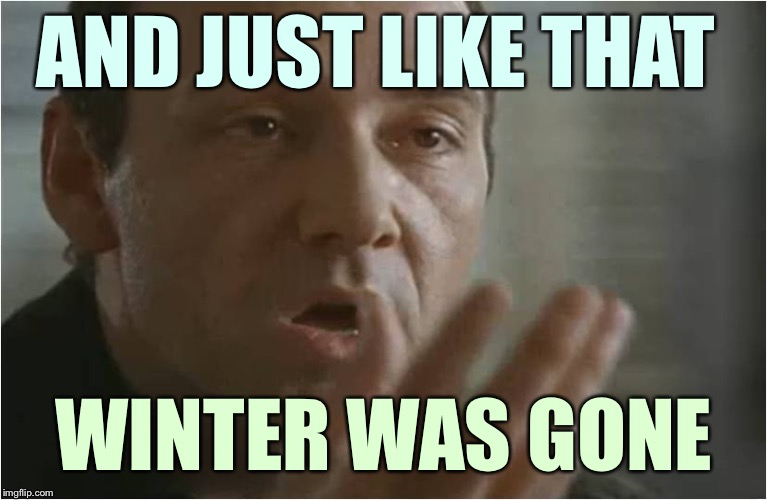 Verbal Kint Was Gone | AND JUST LIKE THAT; WINTER WAS GONE | image tagged in verbal kint was gone,memes,winter,spring | made w/ Imgflip meme maker