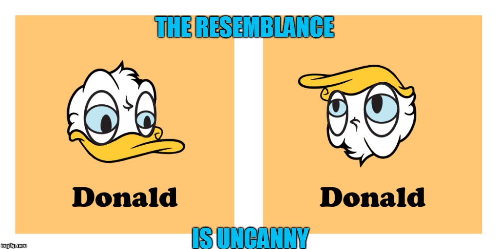 Fowl/Foul | THE RESEMBLANCE; IS UNCANNY | image tagged in donald duck,donald trump,funny meme | made w/ Imgflip meme maker