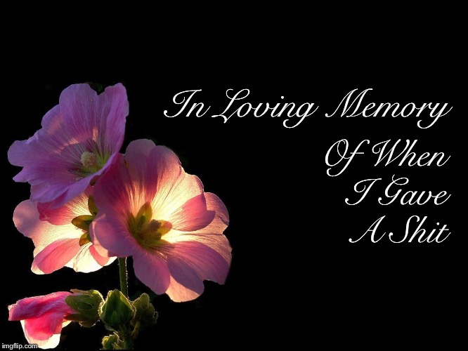 In Loving Memory | Of When I Gave A Shit; In Loving Memory | image tagged in idgaf,done,memes,finals,school | made w/ Imgflip meme maker