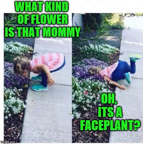 I could be wrong, it could be Audrey 2. | WHAT KIND OF FLOWER IS THAT MOMMY; OH, ITS A FACEPLANT? | image tagged in faceplant,audrey 2,feed me | made w/ Imgflip meme maker