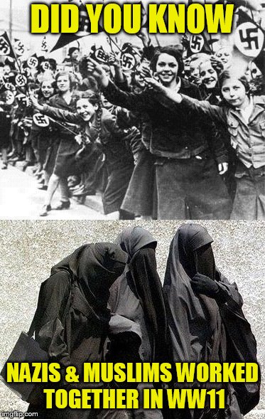 Islam Nazi | DID YOU KNOW; NAZIS & MUSLIMS WORKED TOGETHER IN WW11 | image tagged in islam nazi | made w/ Imgflip meme maker