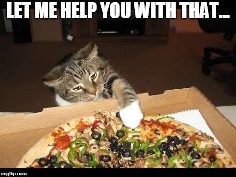 Cat Pawing Pizza | LET ME HELP YOU WITH THAT... | image tagged in cat,pizza cat,pizza | made w/ Imgflip meme maker