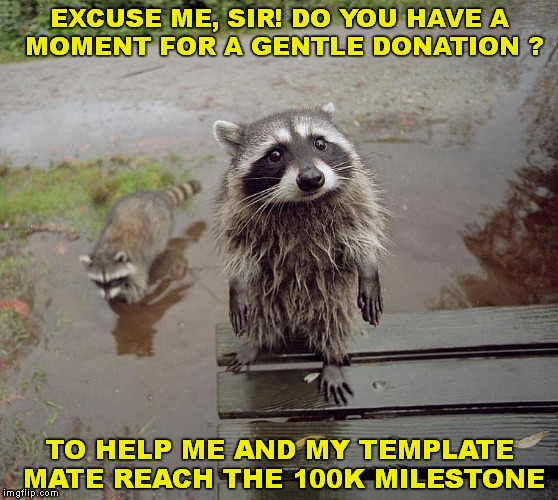 please | EXCUSE ME, SIR! DO YOU HAVE A   MOMENT FOR A GENTLE DONATION ? TO HELP ME AND MY TEMPLATE MATE REACH THE 100K MILESTONE | image tagged in milestone,100k points,cute racoon | made w/ Imgflip meme maker