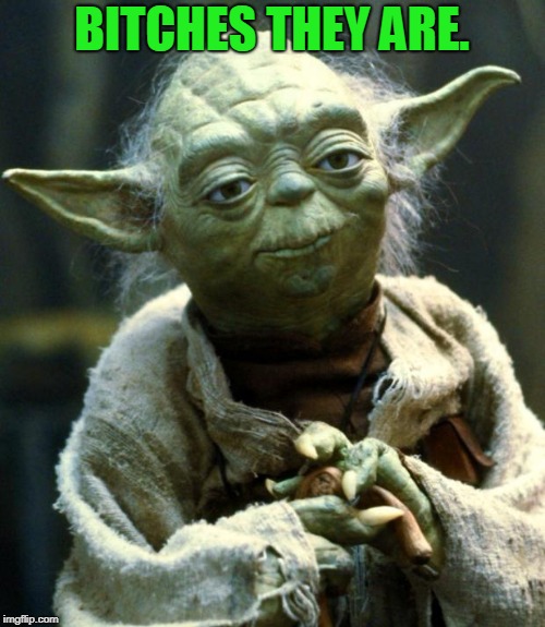 Star Wars Yoda Meme | B**CHES THEY ARE. | image tagged in memes,star wars yoda | made w/ Imgflip meme maker