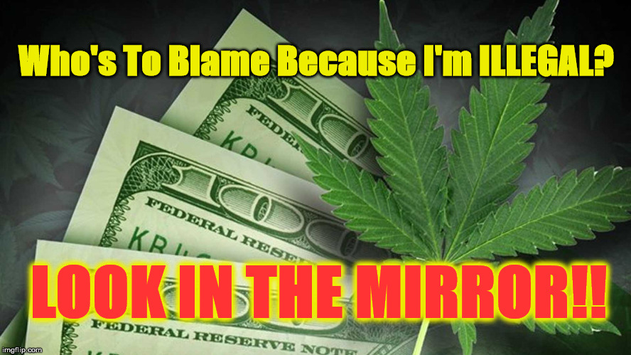 Who's To Blame Because I'm ILLEGAL? LOOK IN THE MIRROR!! | image tagged in follow the money | made w/ Imgflip meme maker