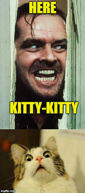Here's Johnny's Cat  | HERE; KITTY-KITTY | image tagged in memes,scared cat,jack nicholson,heres johnny | made w/ Imgflip meme maker