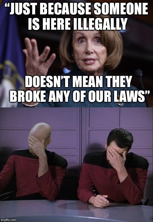 “JUST BECAUSE SOMEONE IS HERE ILLEGALLY; DOESN’T MEAN THEY BROKE ANY OF OUR LAWS” | image tagged in nancy pelosi wtf,nancy pelosi,facepalm,illegal immigration | made w/ Imgflip meme maker