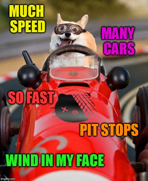 The Fast and the Furriest (Dog week May 1st to May 8th a Landon_the_memer and NikkoBellic event) | MUCH SPEED; MANY CARS; SO FAST; PIT STOPS; WIND IN MY FACE | image tagged in memes,dog week,doge,dogs,dog,the fast and the furious | made w/ Imgflip meme maker