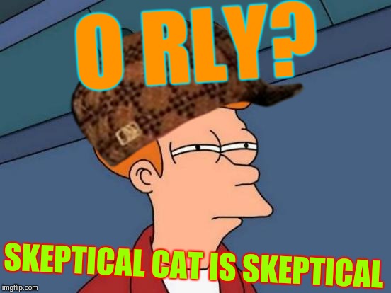 Every time someone says something to me | O RLY? SKEPTICAL CAT IS SKEPTICAL | image tagged in skeptical,futurama fry,scumbag,cat,o rly | made w/ Imgflip meme maker