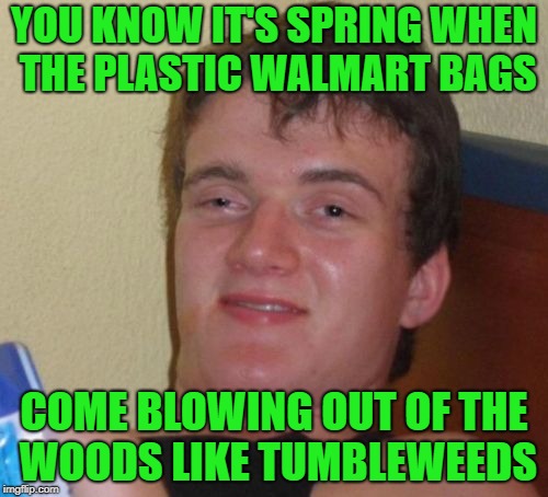 Springtime Finally! | YOU KNOW IT'S SPRING WHEN THE PLASTIC WALMART BAGS; COME BLOWING OUT OF THE WOODS LIKE TUMBLEWEEDS | image tagged in memes,10 guy,springtime,windy | made w/ Imgflip meme maker