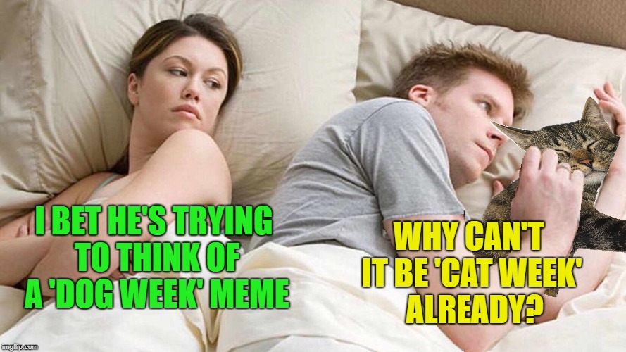 Still thinking  | WHY CAN'T IT BE 'CAT WEEK'  ALREADY? I BET HE'S TRYING TO THINK OF A 'DOG WEEK' MEME | image tagged in memes,i bet he's thinking about other women,dog week,cat weekend,cat | made w/ Imgflip meme maker