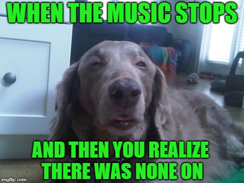 High Dog Meme | WHEN THE MUSIC STOPS; AND THEN YOU REALIZE THERE WAS NONE ON | image tagged in memes,high dog,dog week | made w/ Imgflip meme maker