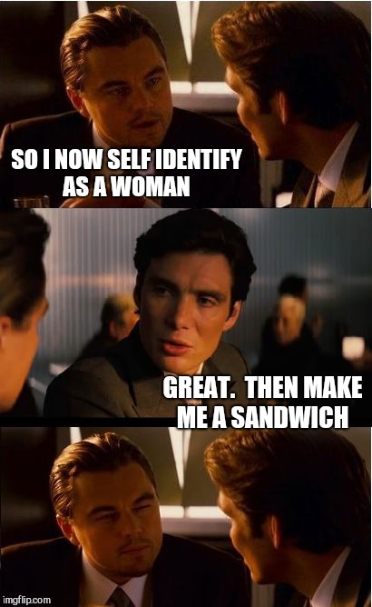 Inception | SO I NOW SELF IDENTIFY AS A WOMAN; GREAT.  THEN MAKE ME A SANDWICH | image tagged in memes,inception,jbmemegeek | made w/ Imgflip meme maker