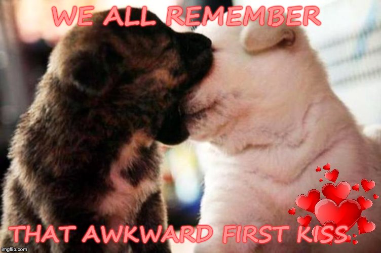 Do I tilt to the right... or the left??? | WE ALL REMEMBER; THAT AWKWARD FIRST KISS | image tagged in memes,dogs,kiss,love stinks yeah yeah | made w/ Imgflip meme maker