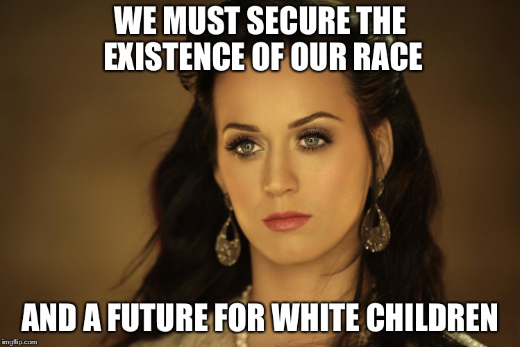 Katy Perry | WE MUST SECURE THE EXISTENCE OF OUR RACE; AND A FUTURE FOR WHITE CHILDREN | image tagged in katy perry | made w/ Imgflip meme maker