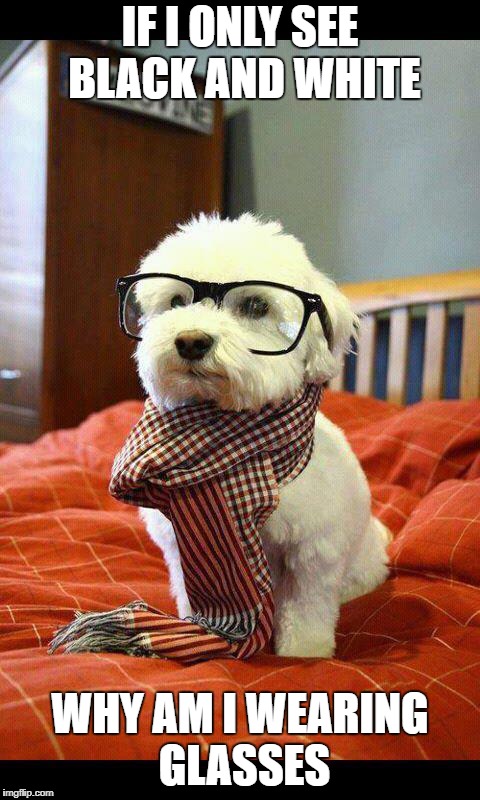 Intelligent Dog | IF I ONLY SEE BLACK AND WHITE; WHY AM I WEARING GLASSES | image tagged in memes,intelligent dog | made w/ Imgflip meme maker