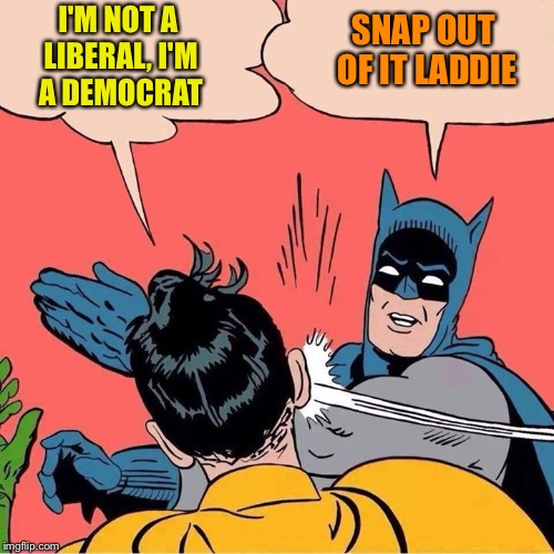 Batman slapping Robin | SNAP OUT OF IT LADDIE; I'M NOT A LIBERAL, I'M A DEMOCRAT | image tagged in batman slapping robin | made w/ Imgflip meme maker