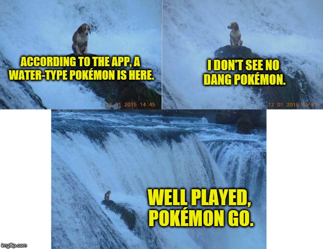 Dog week May 1-8, a Landon_the_memer and NikkoBellic event | ACCORDING TO THE APP, A WATER-TYPE POKÉMON IS HERE. I DON'T SEE NO DANG POKÉMON. WELL PLAYED, POKÉMON GO. | image tagged in memes,dog week,pokemon go | made w/ Imgflip meme maker
