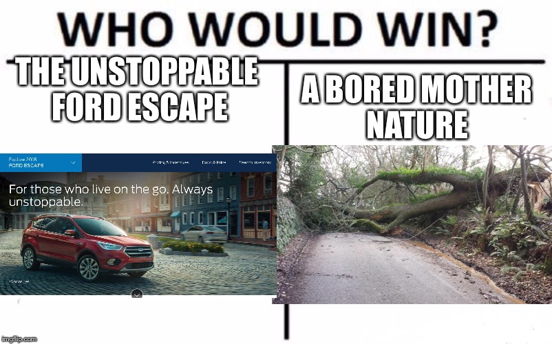 Who Would Win? | THE UNSTOPPABLE FORD ESCAPE; A BORED MOTHER NATURE | image tagged in memes,who would win | made w/ Imgflip meme maker