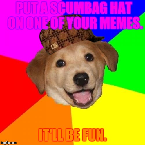 Scumbag dog | PUT A SCUMBAG HAT ON ONE OF YOUR MEMES. IT'LL BE FUN. | image tagged in memes,advice dog,scumbag,scumbag dog,scumbag hat | made w/ Imgflip meme maker