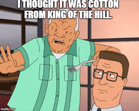 king of the hill | I THOUGHT IT WAS COTTON FROM KING OF THE HILL. | image tagged in king of the hill | made w/ Imgflip meme maker