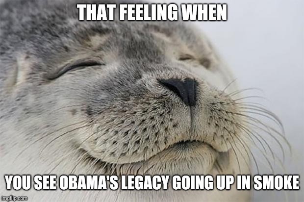 Satisfied Seal | THAT FEELING WHEN; YOU SEE OBAMA'S LEGACY GOING UP IN SMOKE | image tagged in memes,satisfied seal,obama,obama legacy | made w/ Imgflip meme maker