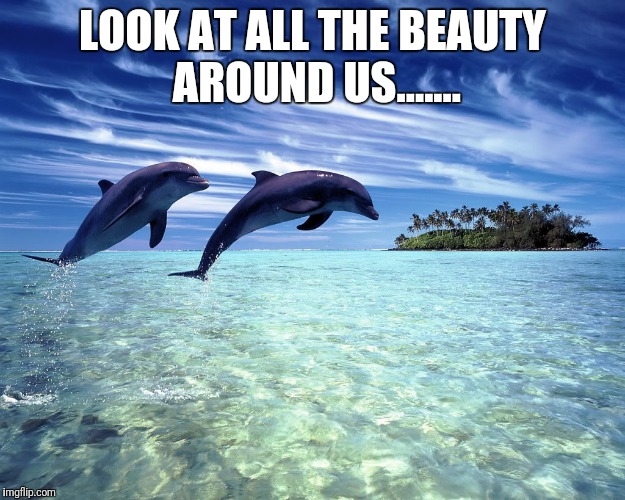 dolphin jump | LOOK AT ALL THE BEAUTY AROUND US....... | image tagged in dolphin jump,beauty,dolphin,jump,ocean,sky | made w/ Imgflip meme maker